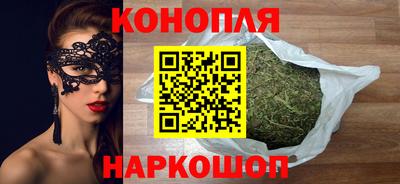 spice Кингисепп