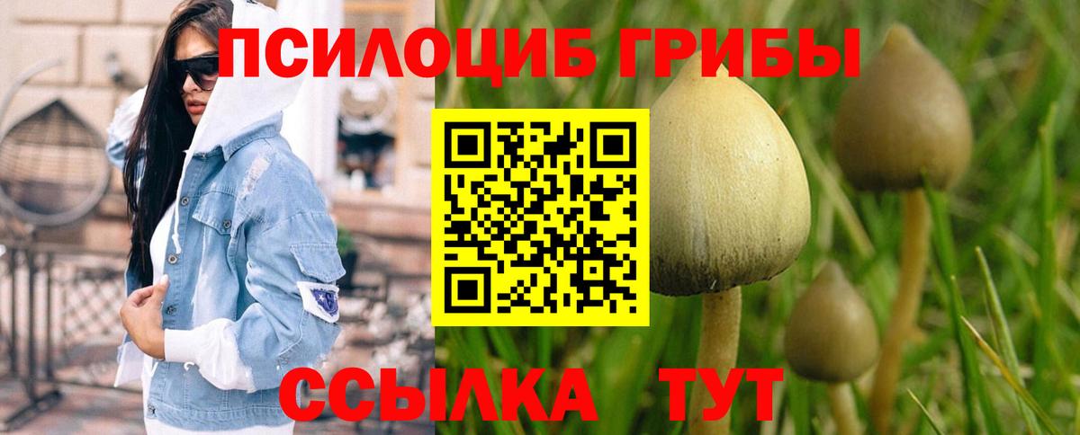 Владикавказ  Галлюциногенные грибы Psilocybine cubensis  Вход с VPN  Галлюциногенные грибы Magic Shrooms 